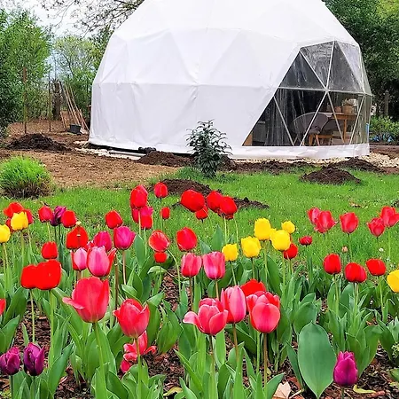 Dió-dóm Apartamento