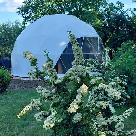 Apartman Dió-dóm Ebes