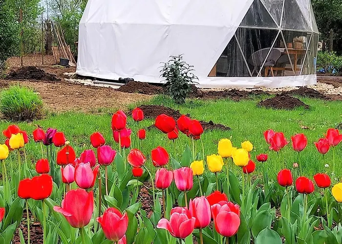 Dió-dóm Apartamento